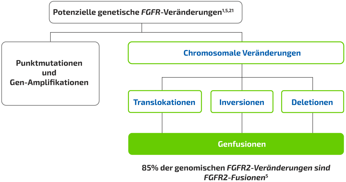 FGFR Fusions Flussdiagram