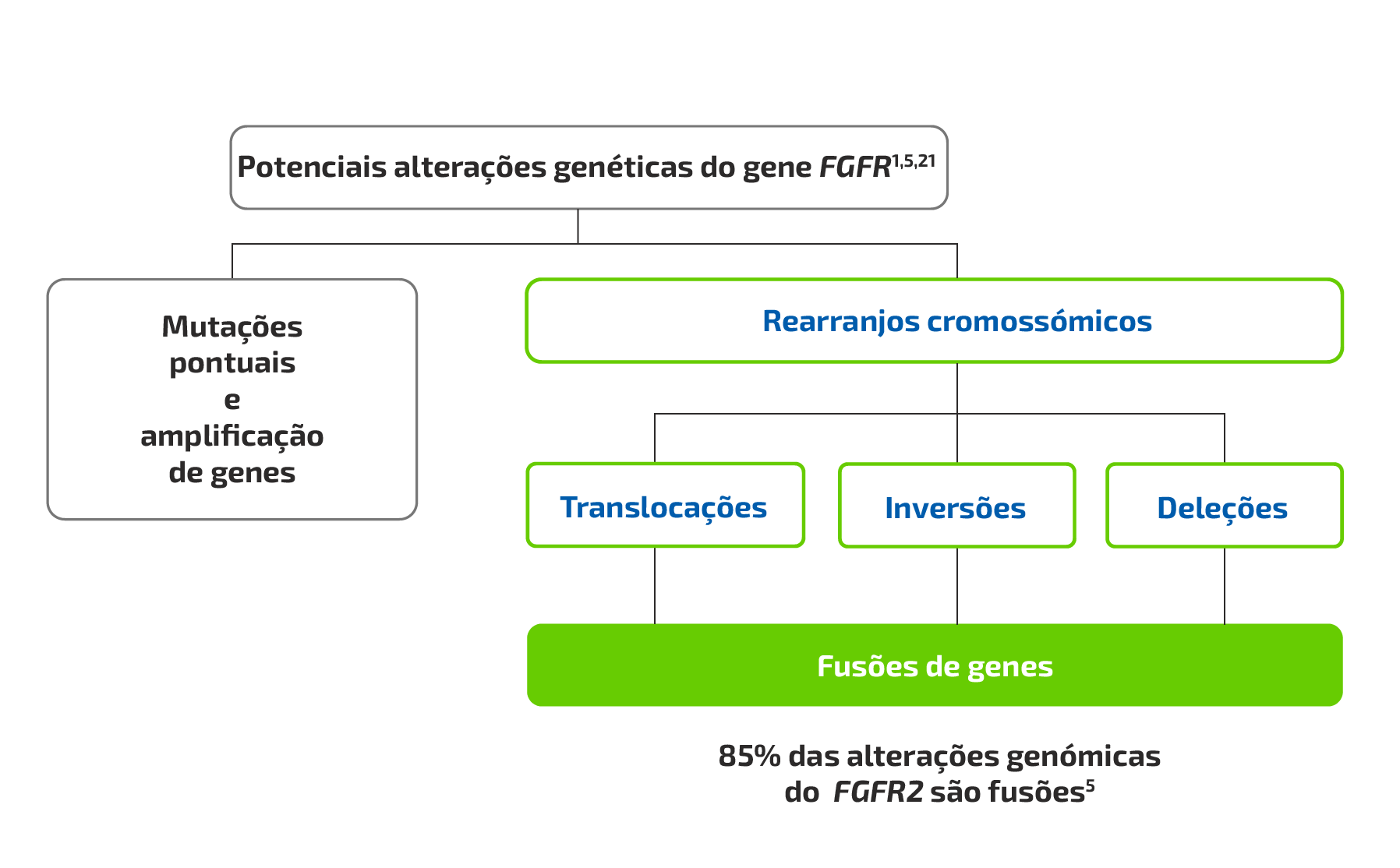  FGFR Fusions Flow Chart